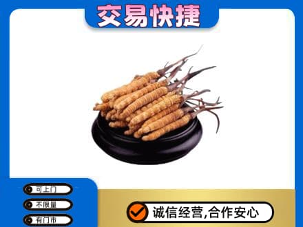 定安礼品回收散虫草.jpg